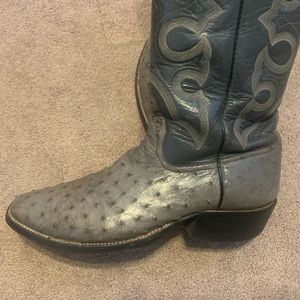 Grey full quill ostrich from Ryons of Ft Worth.